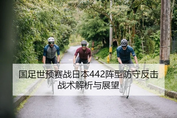 国足世预赛战日本442阵型防守反击战术解析与展望